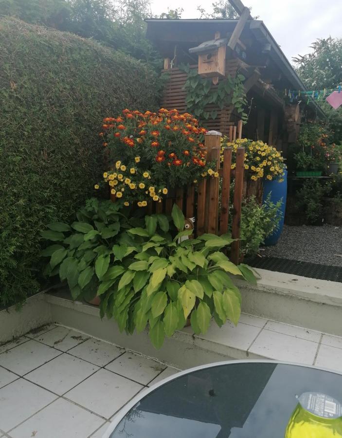 Ferienwohnung Grete Tréveris Exterior foto